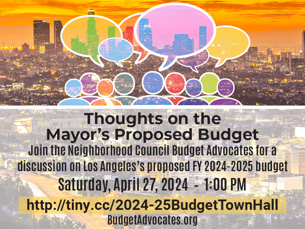 Town Hall on the Mayor's Proposed Budget